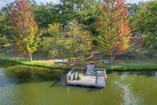 11802 Emden Ln, Racine, MO 64858 - photo 48