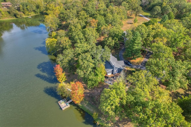 11802 Emden Ln, Racine, MO 64858 - photo 52