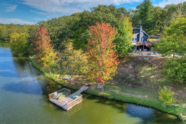11802 Emden Ln, Racine, MO 64858 - photo 47