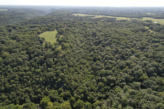TRACT1 0000 Farm Rd Unit 1085, Washburn, MO 65772 - photo 7