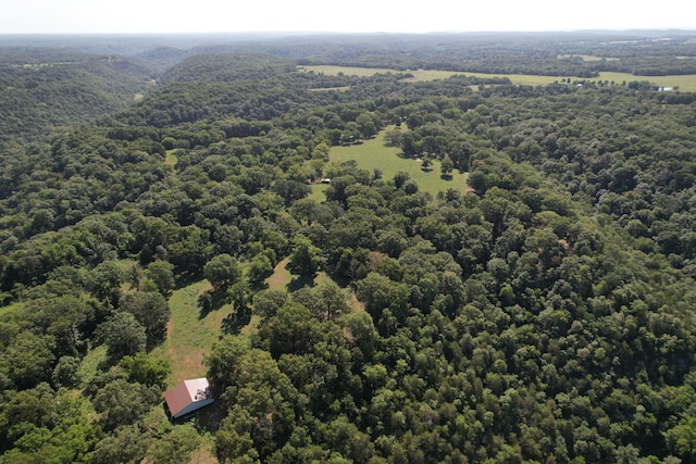 TRACT1 0000 Farm Rd Unit 1085, Washburn, MO 65772 - photo 6