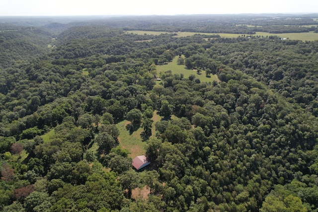 TRACT1 0000 Farm Rd Unit 1085, Washburn, MO 65772 - photo 4