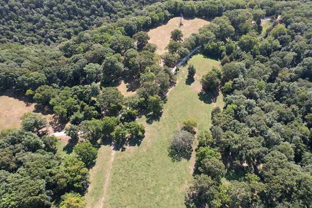 TRACT1 0000 Farm Rd Unit 1085, Washburn, MO 65772 - photo 2