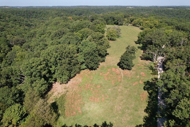 TRACT1 0000 Farm Rd Unit 1085, Washburn, MO 65772 - photo 11