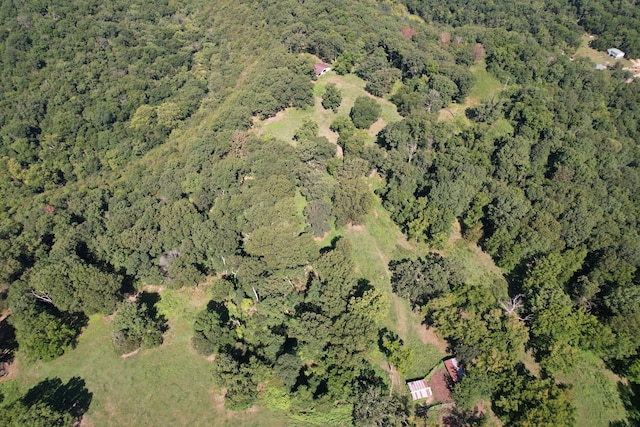 TRACT1 0000 Farm Rd Unit 1085, Washburn, MO 65772 - photo 40
