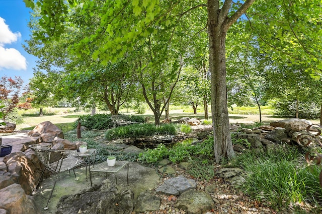 21078 Colt Ln, Diamond, MO 64840 - photo 56