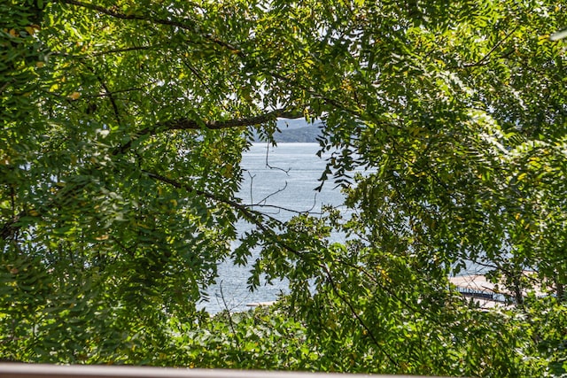 234 Sunset Cv Unit 108, Branson, MO 65616 - photo 16