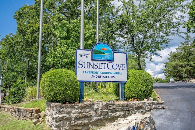 234 Sunset Cv Unit 108, Branson, MO 65616 - photo 63