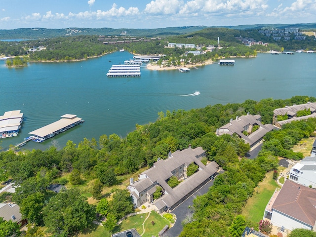 234 Sunset Cv Unit 108, Branson, MO 65616 - photo 62