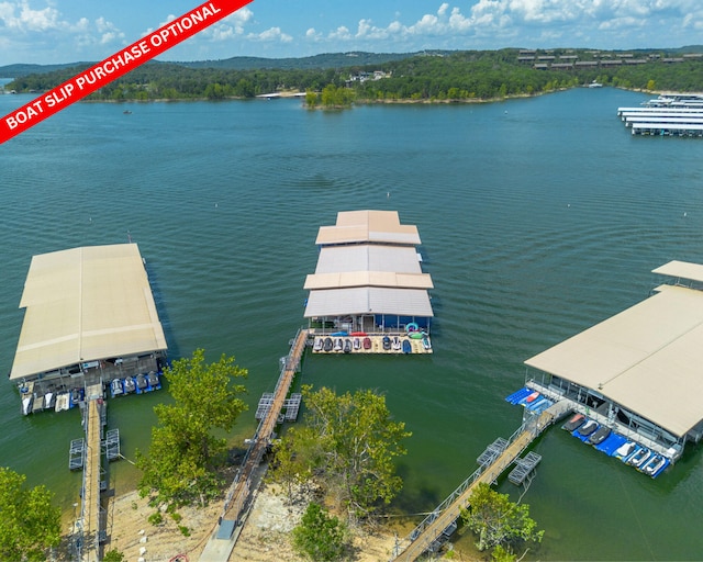 234 Sunset Cv Unit 108, Branson, MO 65616 - photo 104