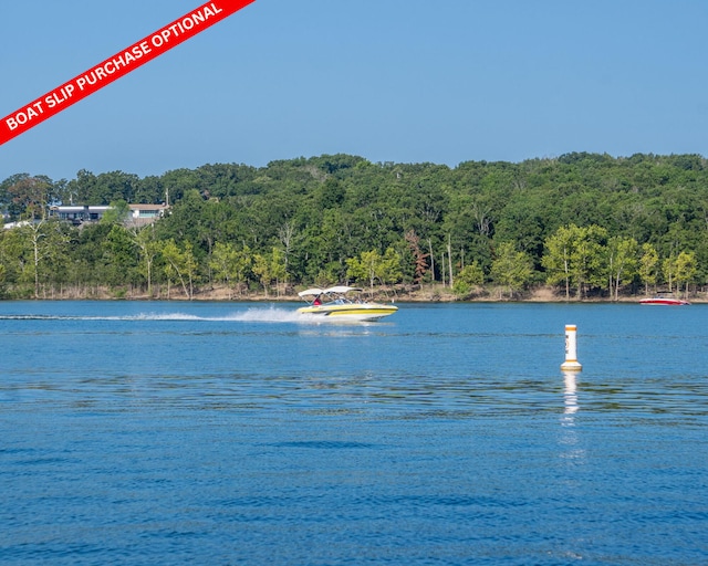 234 Sunset Cv Unit 108, Branson, MO 65616 - photo 101