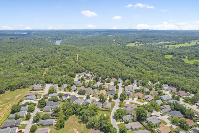 221 Quail Run Rd, Branson, MO 65616 - photo 39