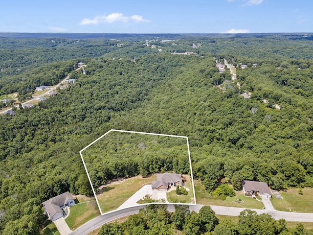 1584 Emory Creek Blvd, Branson, MO 65616 - photo 27