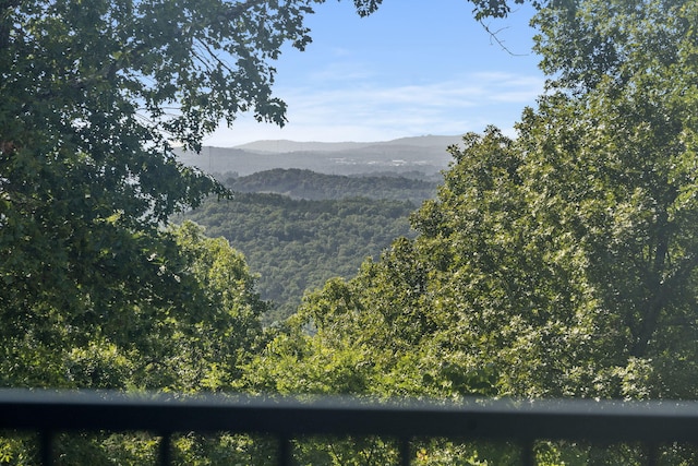 1584 Emory Creek Blvd, Branson, MO 65616 - photo 24