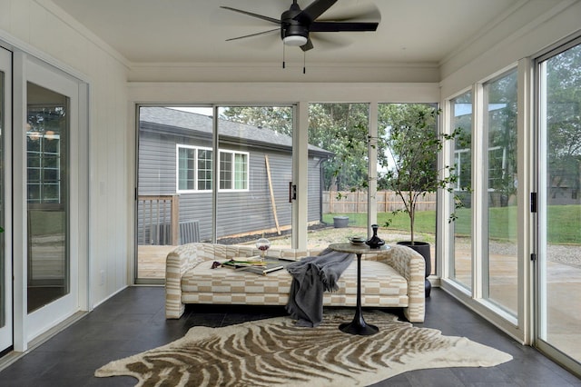 5021 S Farm Rd Unit 137, Springfield, MO 65810 - photo 49