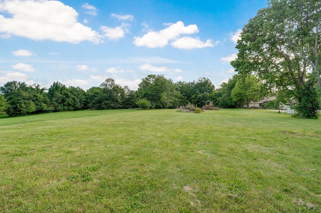 5021 S Farm Rd Unit 137, Springfield, MO 65810 - photo 62