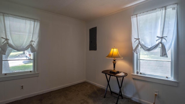 855 Archer St, Mammoth Spring, AR 72554 - photo 12
