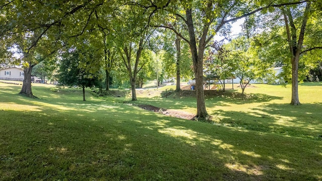 855 Archer St, Mammoth Spring, AR 72554 - photo 39