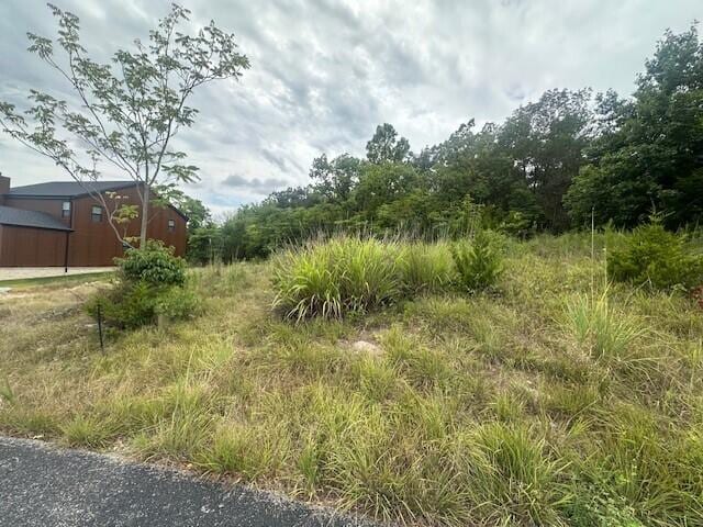 LOT13 Cedar Lndg, Subdivision, Branson, MO 65616 - photo 3