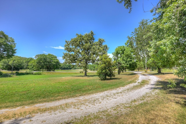 28464 Fir Rd, Carl Junction, MO 64834 - photo 50