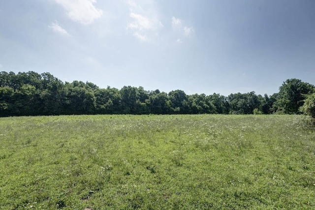 856874 E Farm Road 80, Springfield, MO 65803 - photo 5