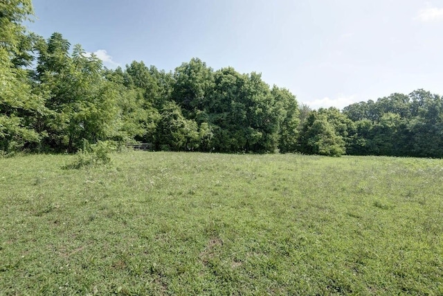 856874 E Farm Road 80, Springfield, MO 65803 - photo 6