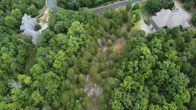 149 Appaloosa Trl, Saddlebrooke, MO 65630 - photo 2