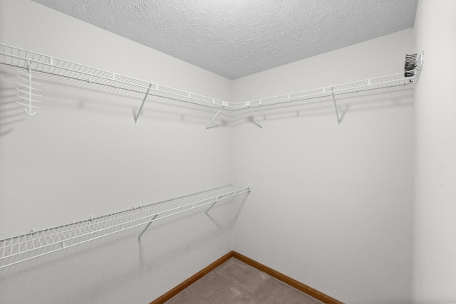 2218 W Buena Vista St, Springfield, MO 65810 - photo 22