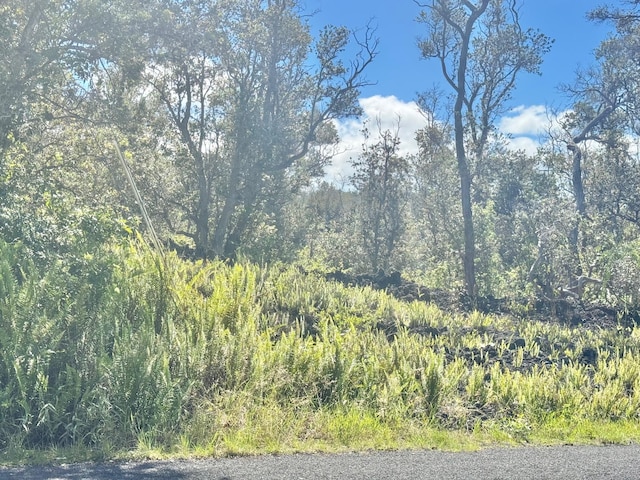 Paradise Pkwy, Ocean View, HI 96737