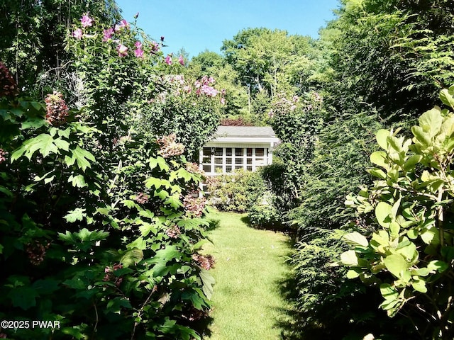 147 W Shore Rd, Shohola, PA 18458 - view of grassy yard