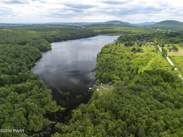 LOTR-C1 Spruce Lake Rd, Thompson, PA 18465