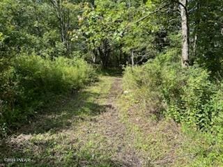 LOTR-C1 Spruce Lake Rd, Thompson, PA 18465
