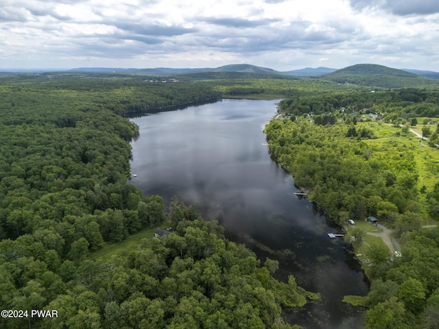 LOTR-C1 Spruce Lake Rd, Thompson, PA 18465