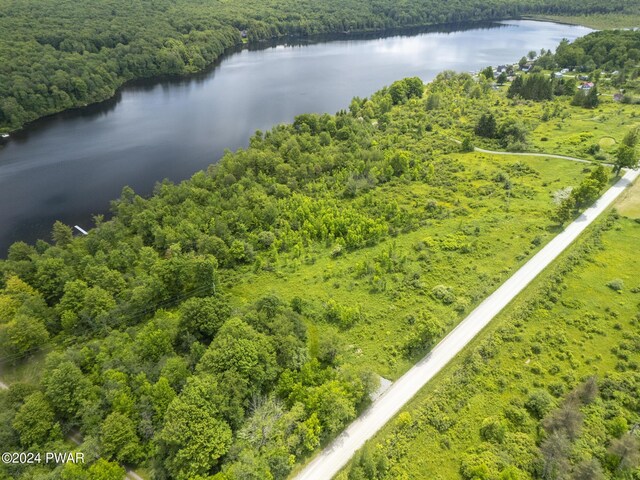 LOTR-C1 Spruce Lake Rd, Thompson, PA 18465