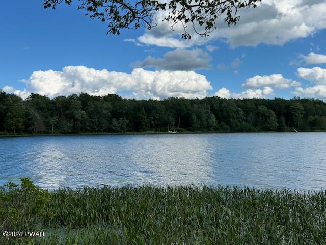 LOTR-C1 Spruce Lake Rd, Thompson, PA 18465