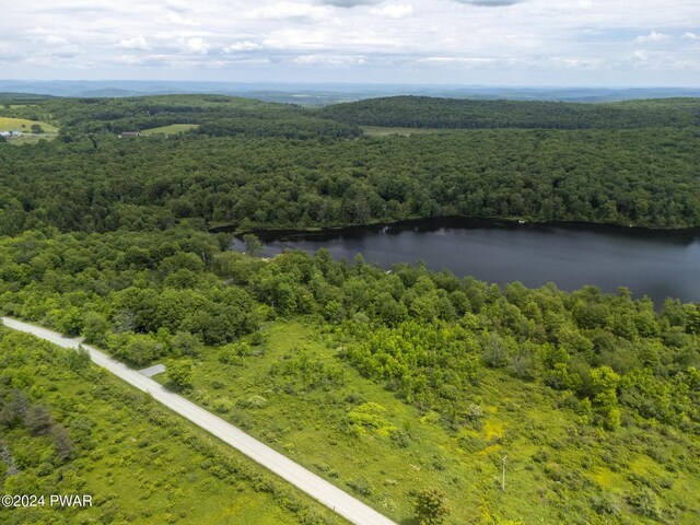 LOTR-C1 Spruce Lake Rd, Thompson, PA 18465