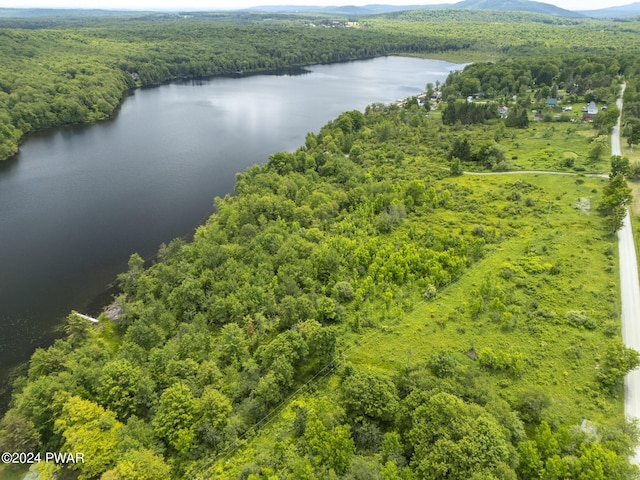 LOTR-C1 Spruce Lake Rd, Thompson, PA 18465