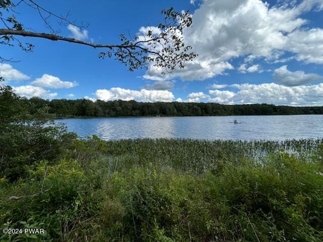LOTR-C1 Spruce Lake Rd, Thompson, PA 18465