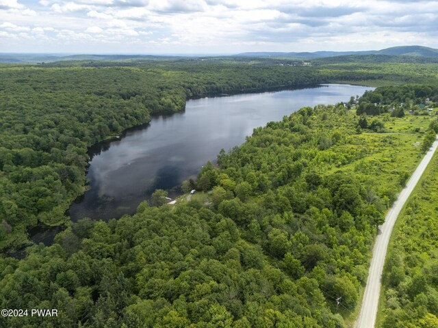 LOTR-C1 Spruce Lake Rd, Thompson, PA 18465