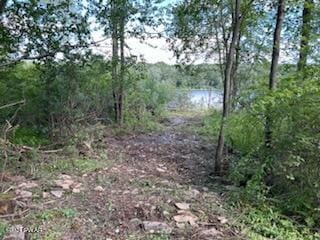 LOTR-C1 Spruce Lake Rd, Thompson, PA 18465
