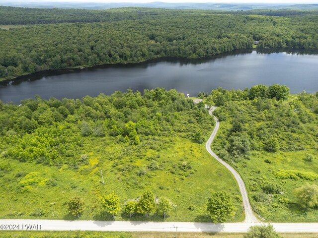 LOTR-C1 Spruce Lake Rd, Thompson, PA 18465
