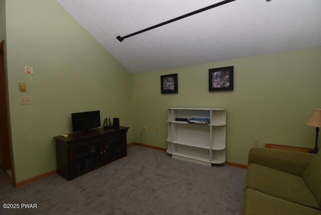 219 Lakewood Dr, Milford, PA 18337 - photo 20