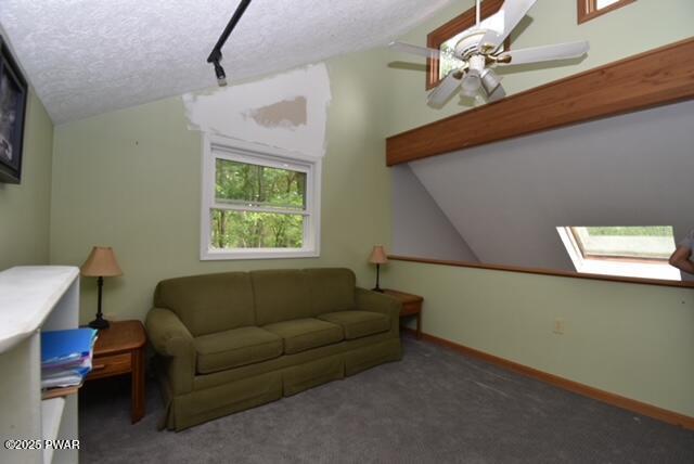 219 Lakewood Dr, Milford, PA 18337 - photo 19