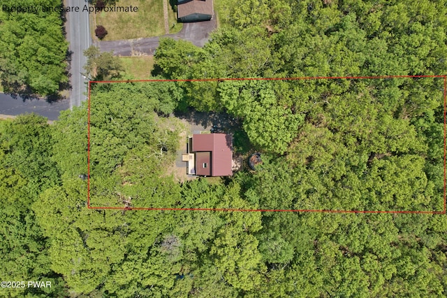 219 Lakewood Dr, Milford, PA 18337 - photo 7