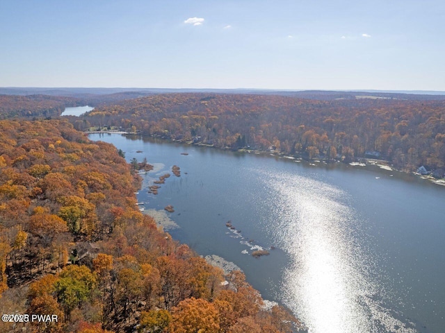bird's eye view featuring a water view and a forest view