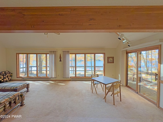 interior space featuring vaulted ceiling with beams and a wealth of natural light