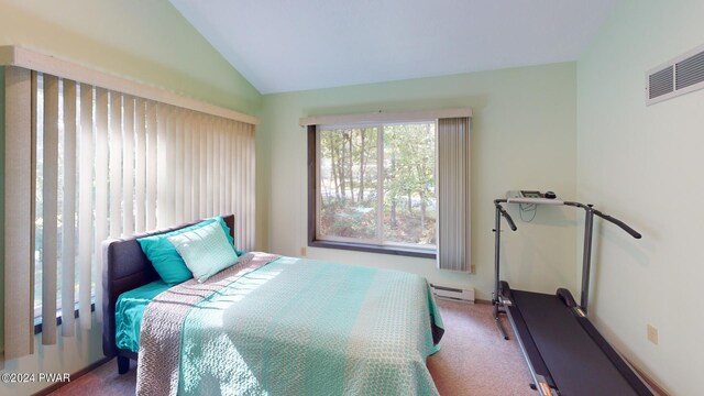 carpeted bedroom featuring vaulted ceiling and baseboard heating