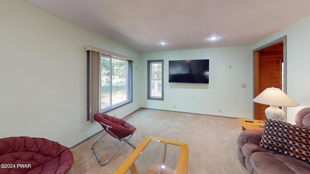 living room with a textured ceiling and carpet floors