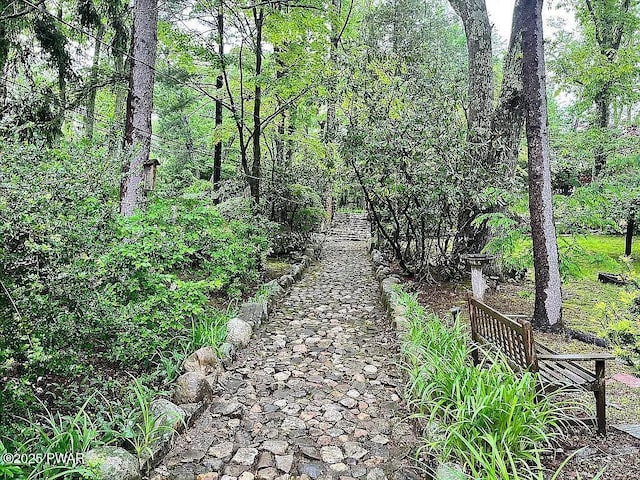 27 Maple Trail, Trail, NY 12790 - surrounding community