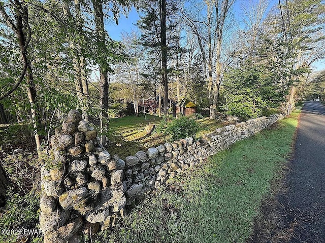 27 Maple Trail, Trail, NY 12790 - view of yard